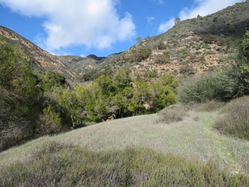 Birabent Canyon Ballard Camp La Jolla Trail hiking Figueroa Mountain San Rafael Los Padres National Forest