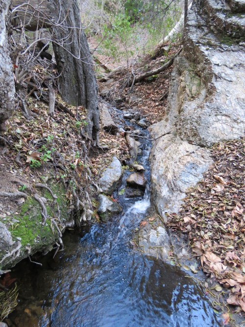 Alamo Pintado Creek birabent canyon los padres national forest ballard camp la jolla trail