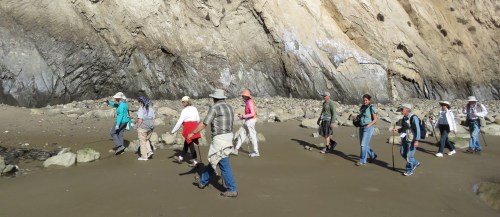 Haskell's Beach Geology walk Santa Barbara Botanic Graden Goleta