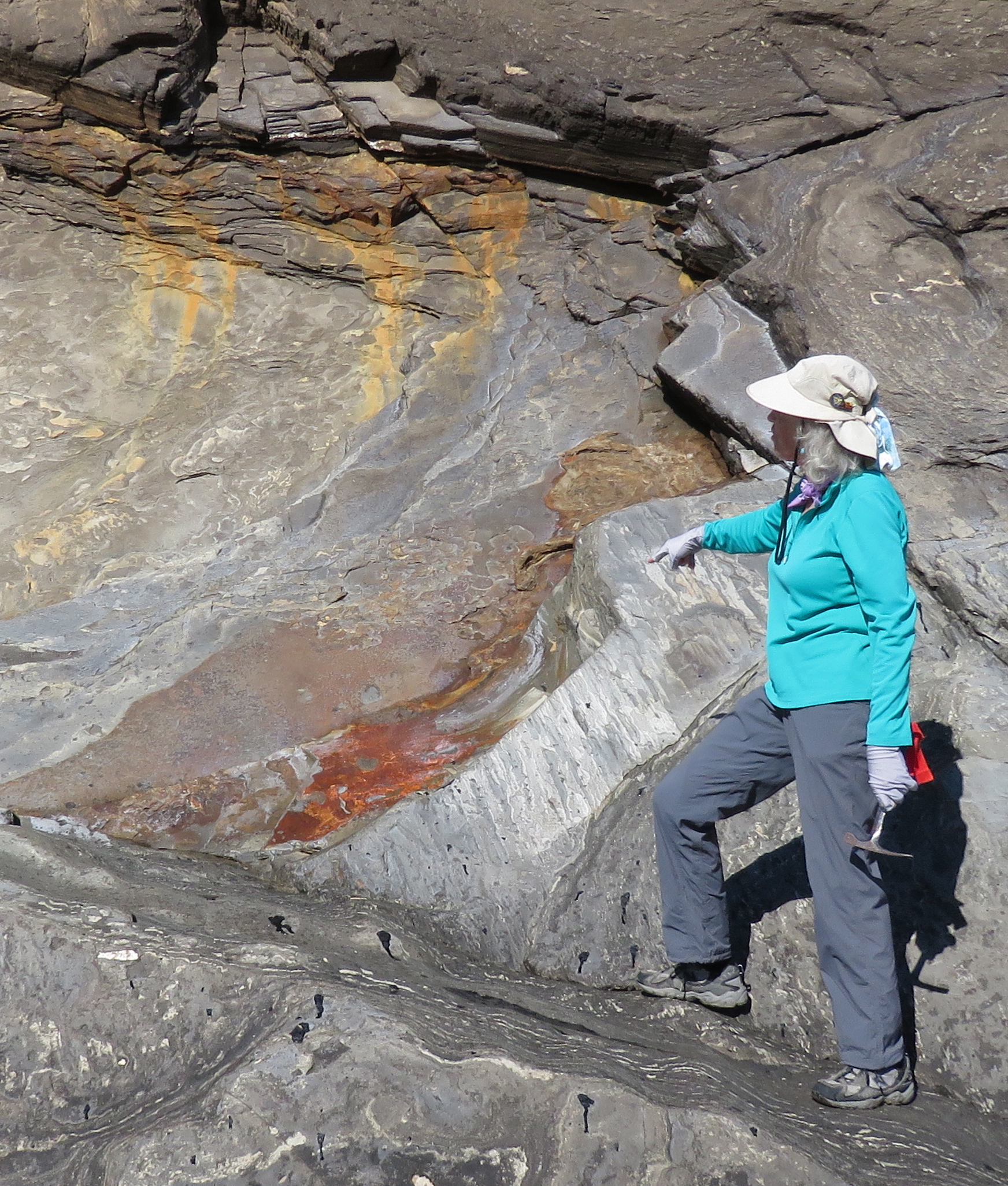 Haskell's Beach geology ash Susie Bartz Santa Barbara Botanic Garden hike walk goleta
