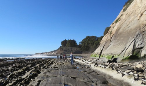 Eagle Canyon Haskell's Beach geology monterey shale Susie Bartz hike walk