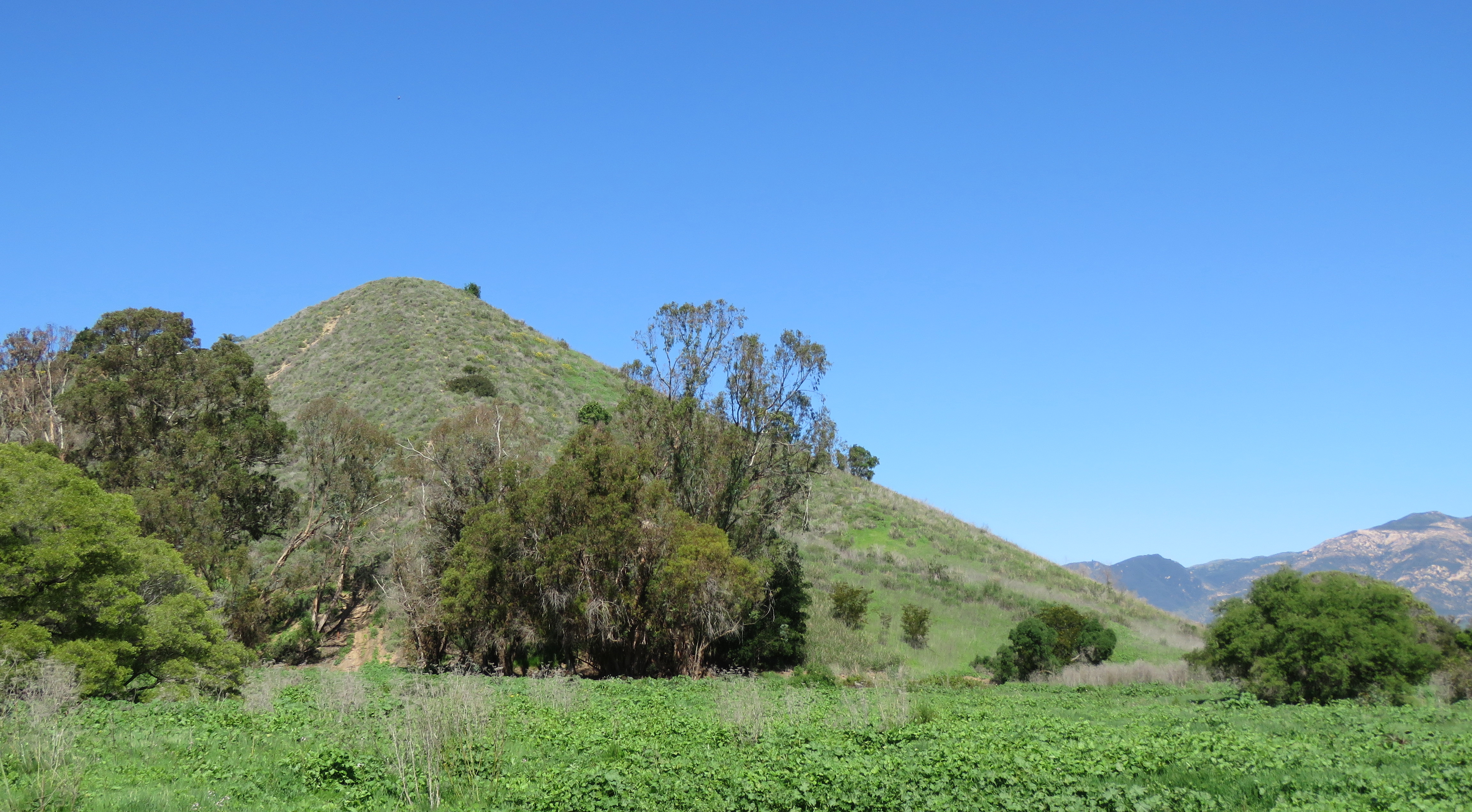 Arroyo Burro Open Space Santa Barbara City Park trail hike Veronica Meadows Spring Creek