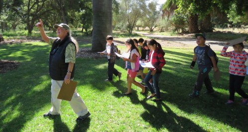 Eyes in the Sky Gabriele Drozdowski Meet Your Wild Neighbor