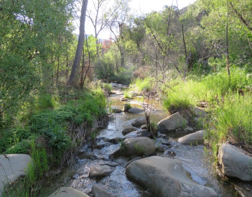 Sisquoc River Trail hiking backpacking Cottonwood Camp Rattlesnake Falls San Rafael Wilderness Los Padres national forest