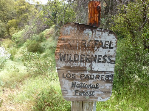 Bear sign scratches trail sign Los padres national forest San Rafael Wilderness Judell Canyon