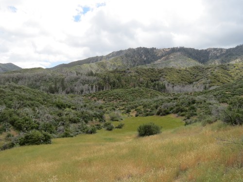 Madulce Peak Trail hiking backpacking Santa Barbara Canyon los padres national forest dick smith wilderness