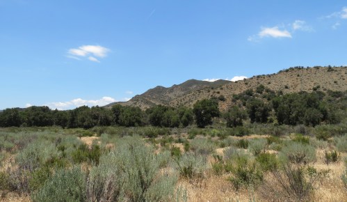 Jose Moraga Limestone Lithograph Mine Mono-Alamar Trail Los Padres national forest