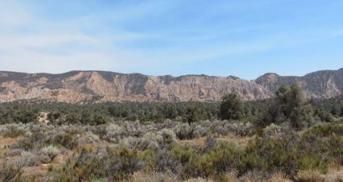 Quatal Canyon Cuyama Badlands Los Padres national forest