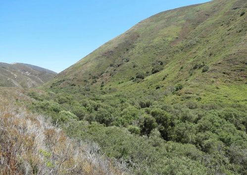 Island Creek Canyon hike Montaña de oro