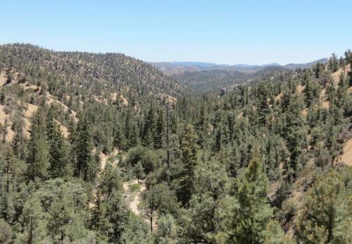 North Fork Lockwood Canyon Trail hike backpacking Chumash Wilderness Los padres national forest