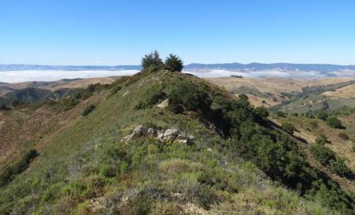 Alan Peak Trail Montaña de Oro hik Coon Creek Valencia Peak Oats