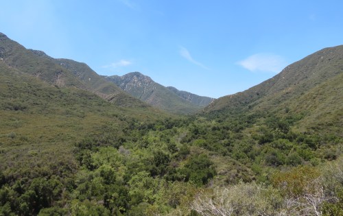 Murietta Canyon Juncal Road divid Santa Ynez Mountains Los Padres National forest hike