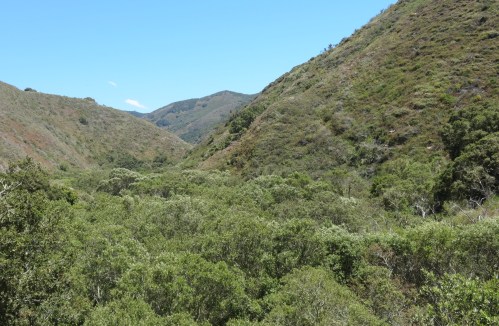 Coon Creek Trail hike montaña de oro