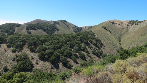 Oats Peak Trail Montaña de oro