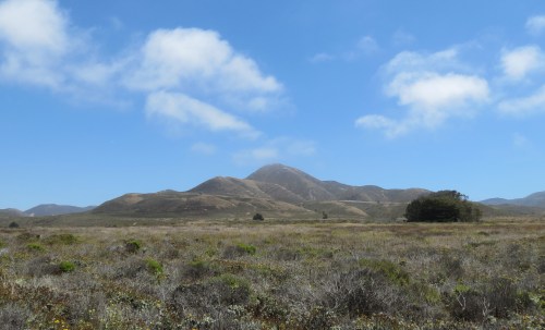 Valencia peak bluff trail hike Montaña de oro