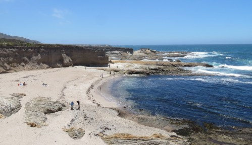 Corallina Cove Bluff Trail Montaña de oro