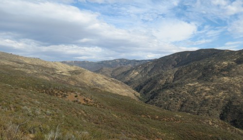 Lake Ridge Trail hike Pine Canyon Los Padres National Forest