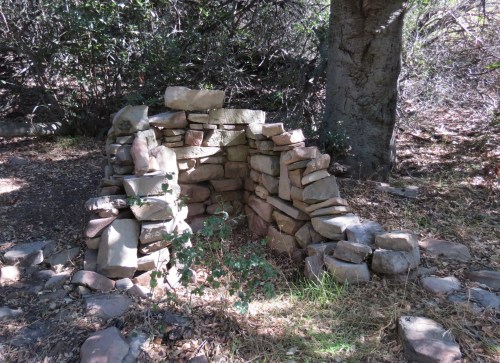 The Root Cellar Upper Cold Spring Canyon Los Padres national forest hike homestead trail Santa Barbara montecito