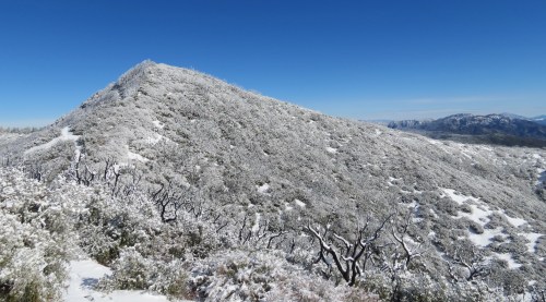 San Rafael Mountain 100 peaks hike trail wilderness Mission Pine Los Padres National Forest snow