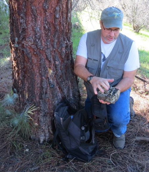David Lee ventura wildlife guru camera trapping tracking