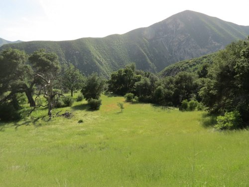 black mountain romo potrero homestead los padres national forest