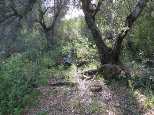 Little Pine Spring Camp hiking backpacking Santa Barbara Los Padres national forest