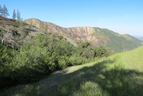 Little Pine Spring Los Padres National Forest Santa Cruz trail hiking backpacking camp