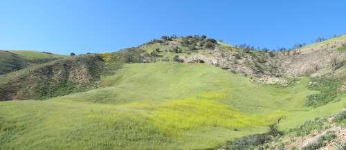 Upper Meadow Santa Cruz Trail hike backpacking Los Padres National Forests Little Pine Mountain