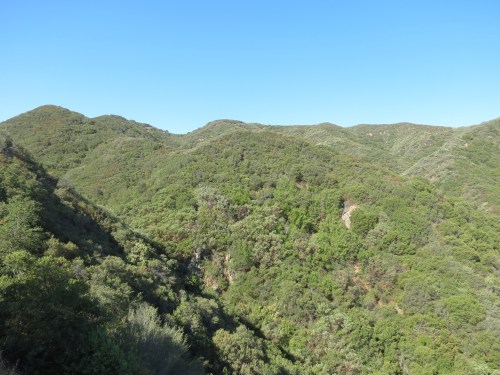 Gidney Canyon North Cold Spring Trail hiking backpacking Santa Barbara Los Padres National Forest Forbush Flats
