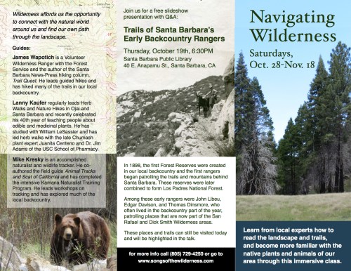 Navigating Wilderness