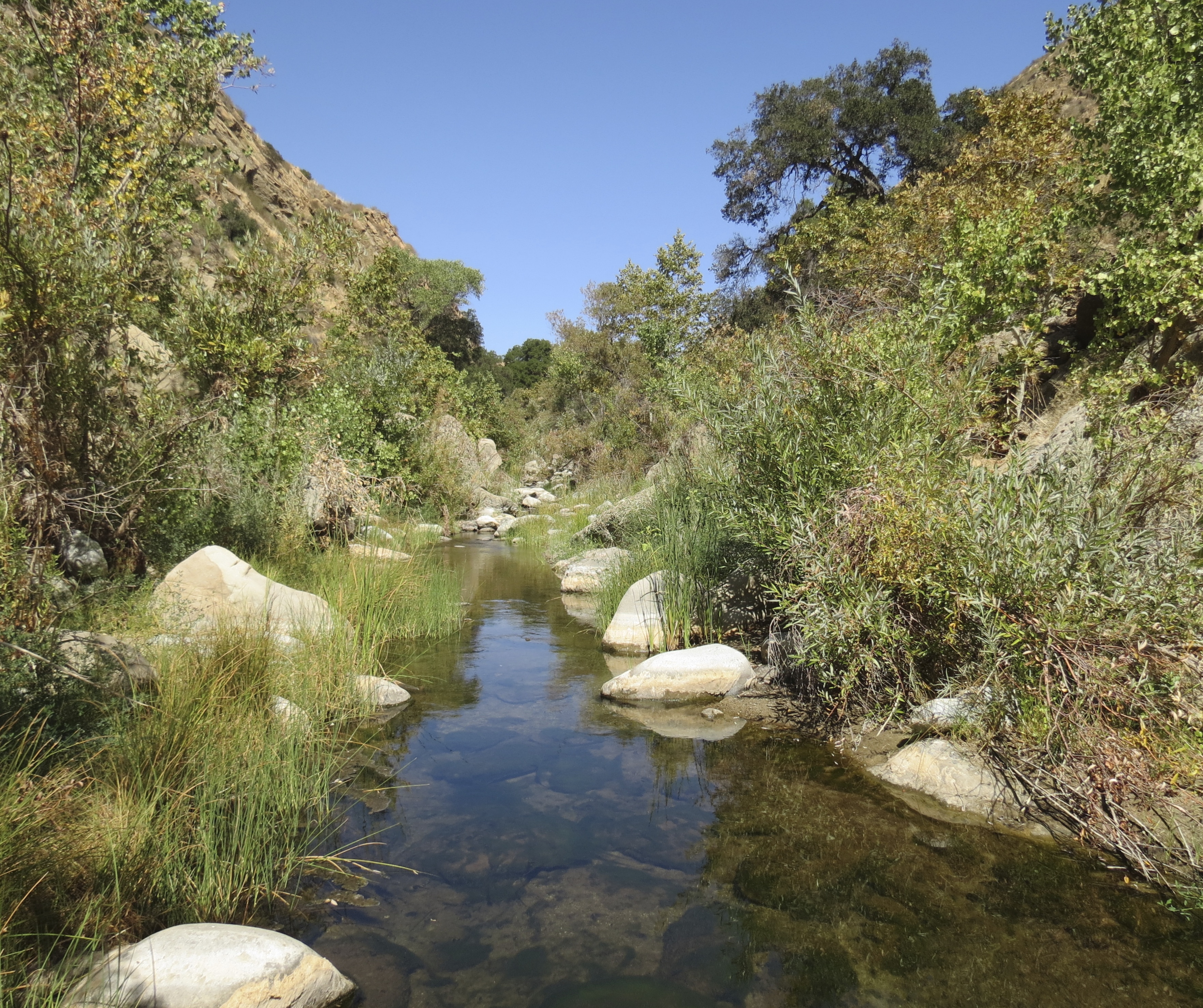 Piru Creek Sespe Wilderness Los Padres National Forest hike Cobblestone Mountain Trail