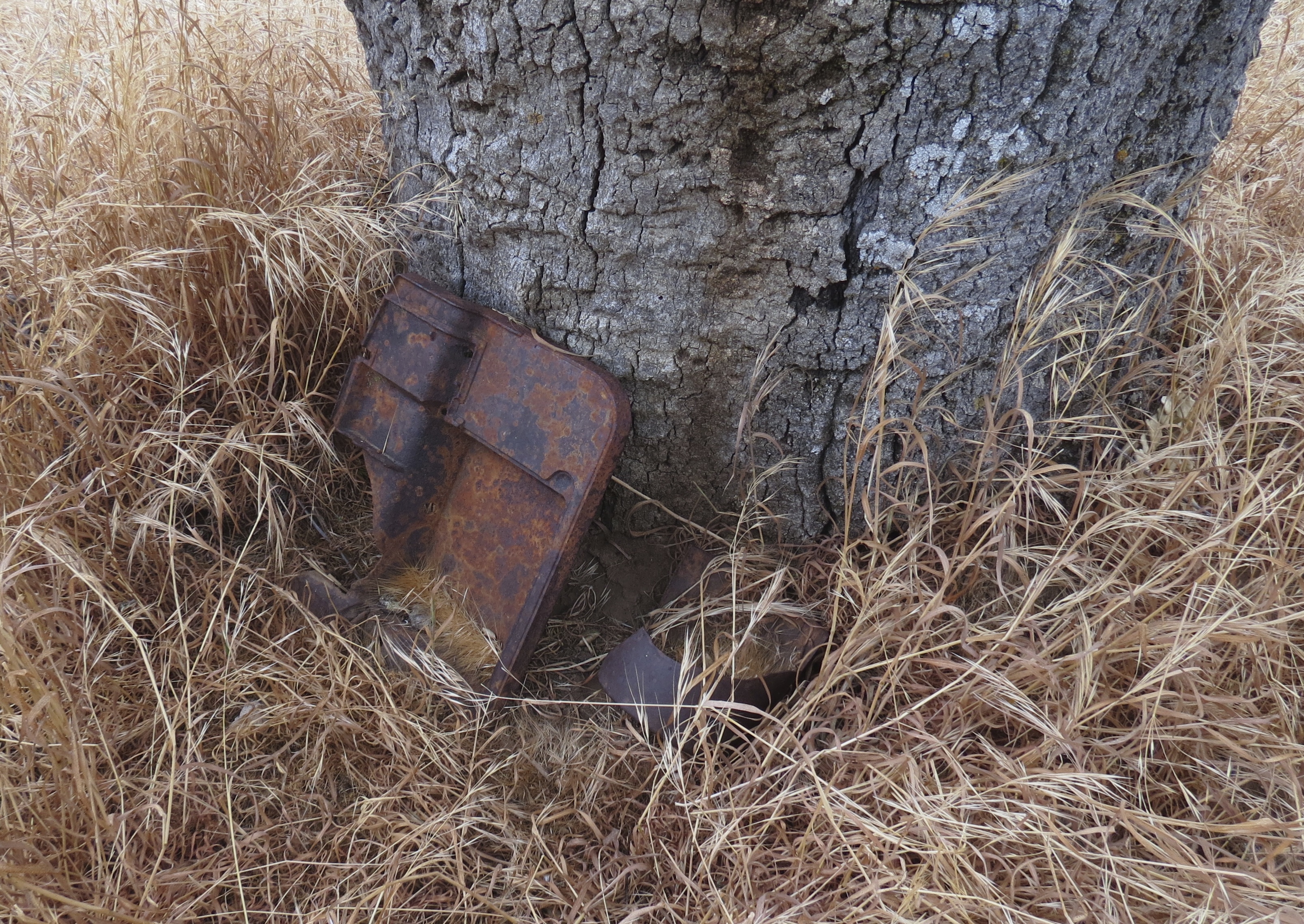 Roberts homestead Sisquoc Trail San Rafael Wilderness Los Padres National Forest Jim Blakley archeolgocial survey