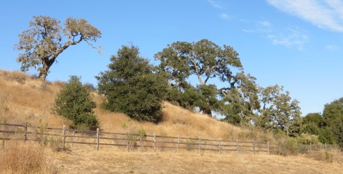 Hans Christian Andersen Park hike trail Solvang Santa Ynez Valley