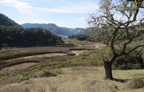 Lake Lopez Wittenberg Creek Duna Vista Loop Trail hike