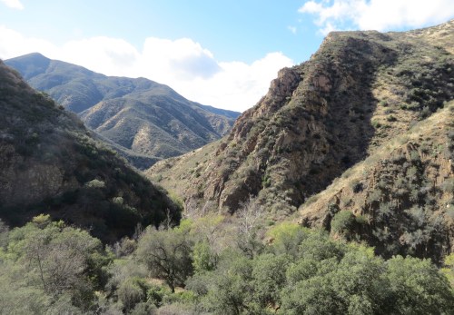 Manzana Trail creek canyon camp hike backpacking San Rafael Wilderness Los Padres National Forest