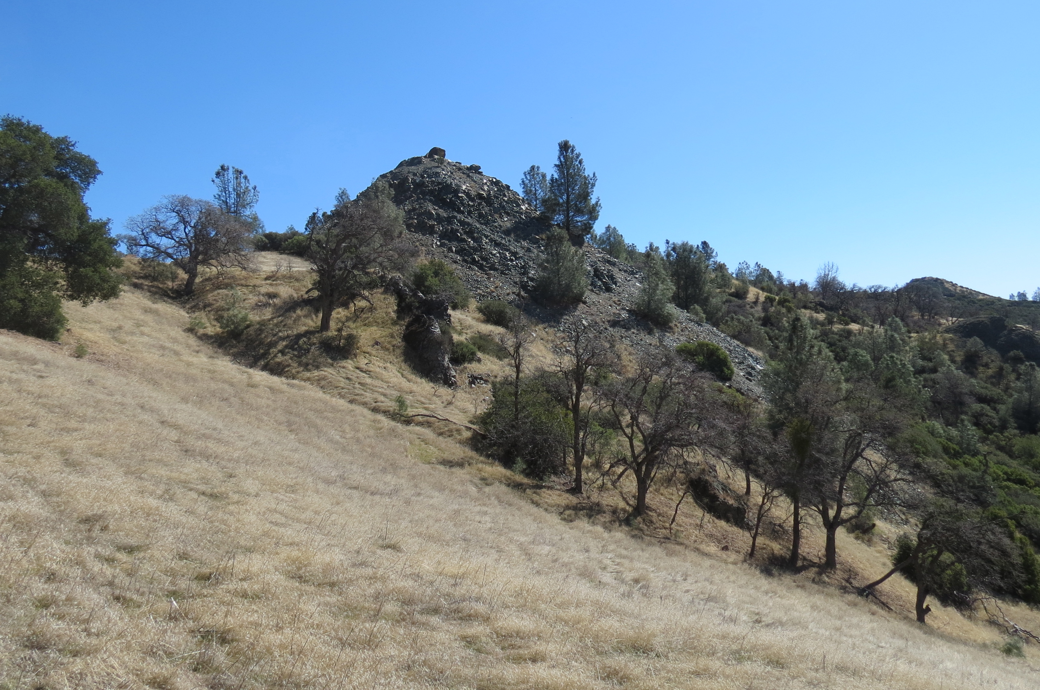 Blue Point Fir Canyon Davy Brown Trail Figueroa Mountain Serpentine Los Padres National Forest