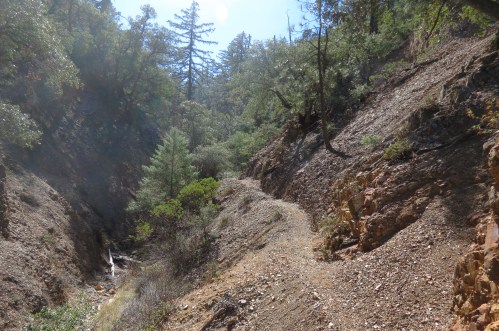 Ranger Edgar Davison Fir Canyon Davy Brown Trail Figueroa Mountain Los Padres National Forest