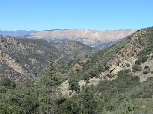 Hurricane Deck Davy Brown Trail Figueroa Mountain Los Padres National Forest