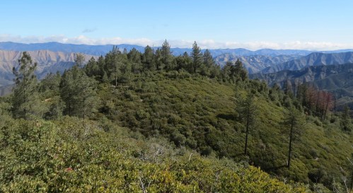 White Rock Trail Edgar Davison hike Figueroa Mountain Los Padres National Forest