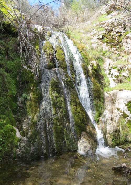 Waterfall Munch Canyon Trail Figueroa Mountain Edgar Davison Ranger Los Padres National Forest