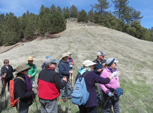 susie bartz ranger peak serpentine santa ynez valley natural history society los padres national forest camuesa fault