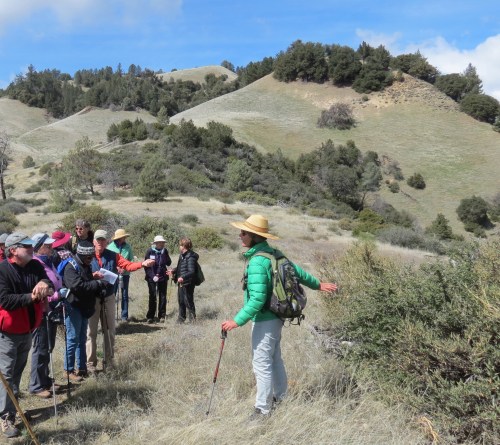 liz gaspar serpentine plants ranger peak trail santa ynez valley natural history society los padres national forest