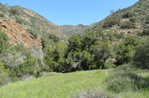 Ballard Camp La Jolla Springs Trail Birabent Canyon hike backpacking Los Padres National Forest