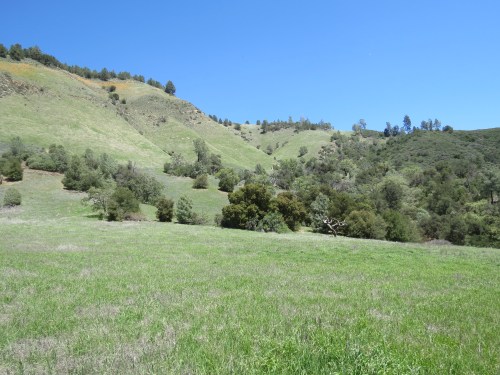 La Jolla Springs Trail Zaca Ridge hike backpacking Los Padres National Forest