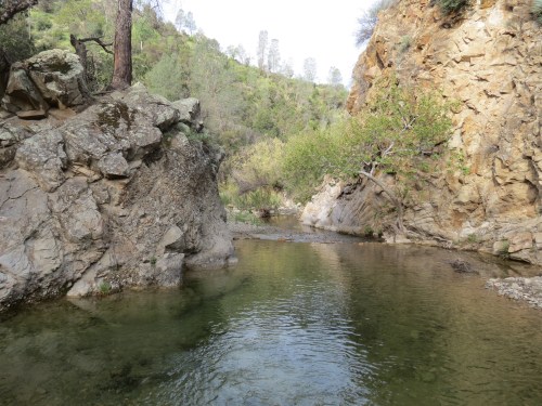 Swim hole Horseshoe Bend Manzana Creek Trail San Rafael Wilderness backpacking hiking los padres national forest
