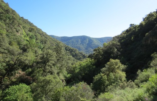 Big Falls Canyon Trail hike Santa Lucia Wilderness Los Padres National Forest