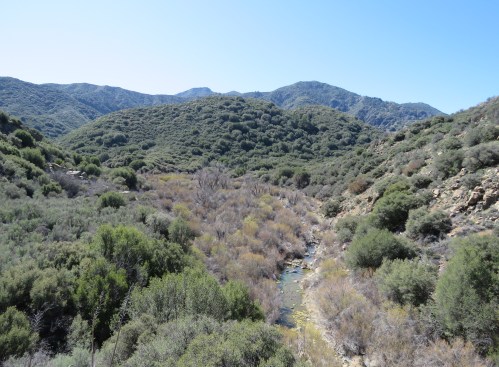 Lion Canyon trail pre-Thomas Fire hike Ojai Los Padres National Forest