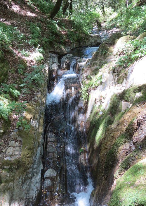 Lopez Canyon Trail cascade Potrero Creek Santa Lucia Wilderness hike backpacking San Luis Obispo