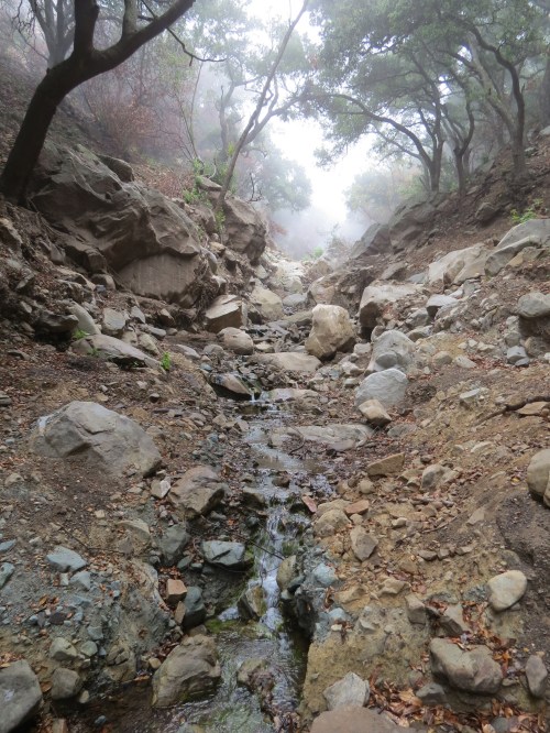 Romero Creek Canyon Trail hike front country thomas fire burn area los padres national forest
