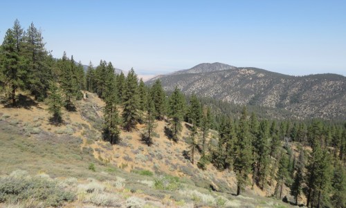 McGill Trail hike San Emigdio Mountains Tecuya Ridge Mount Pinos Los Padres National Foreest